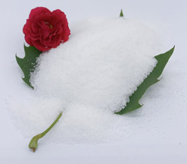 어떤 종류의 폴리아크릴라미드가 세탁 폐수를 처리하는 데 더 효과적입니까?